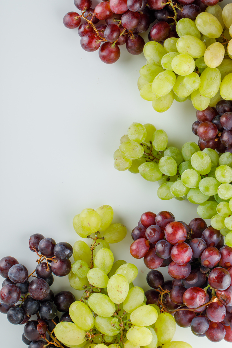 TestQual 230 · Multiresidue pesticides in grape  - Grape