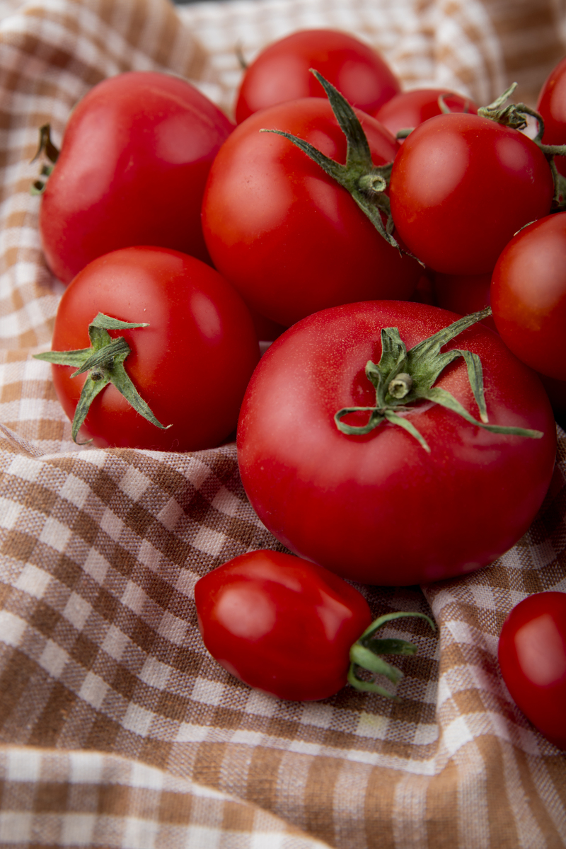 TestQual 231 · Multiresidue pesticides · Glyphosate · Glufosinate · AMPA · Ethephon in tomato - Tomato